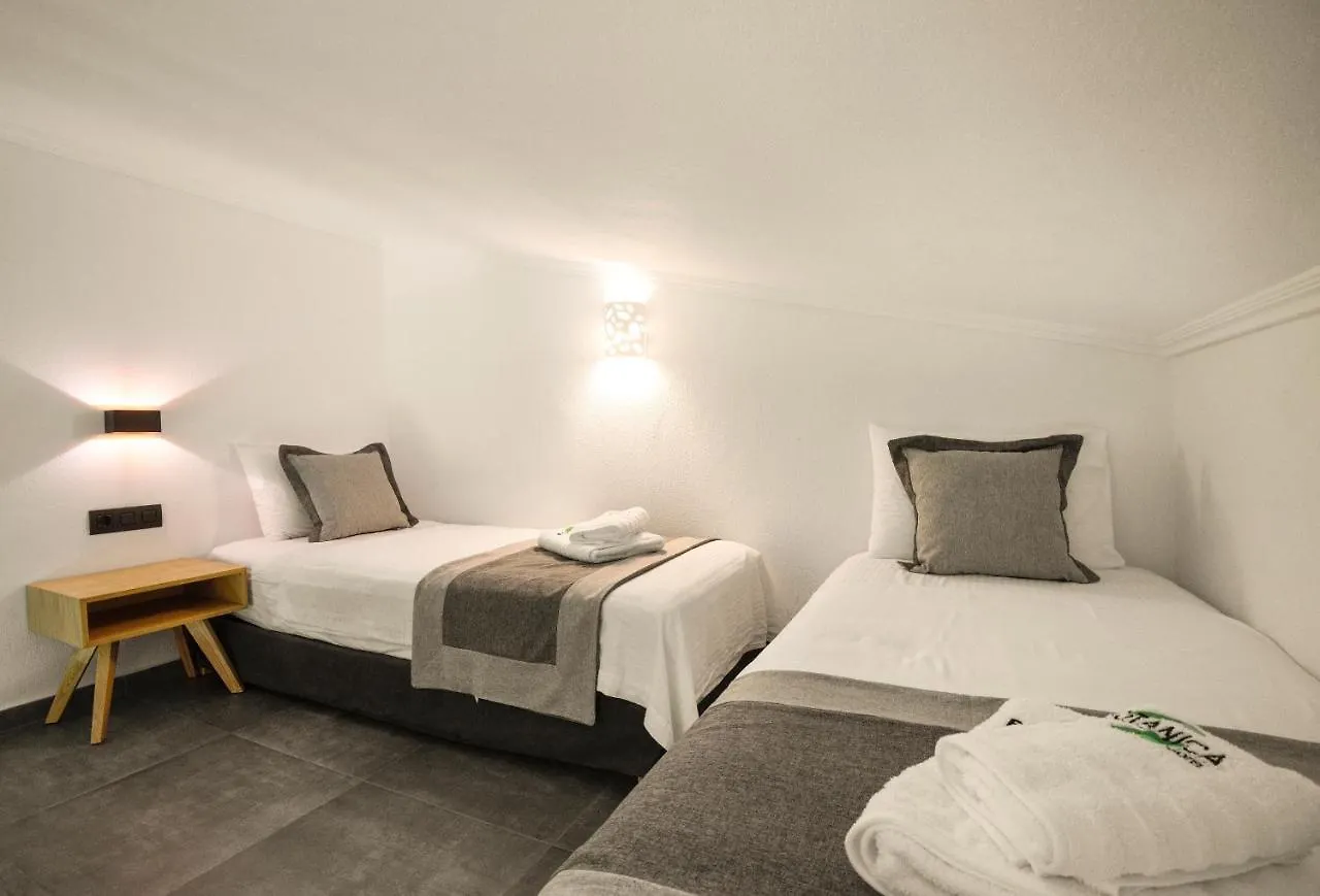 Aparthotel Botanica Luxury Suites Neos Marmaras